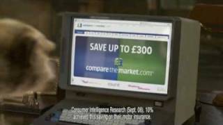 Compare The Meerkat  1st Advert [upl. by Oneal]