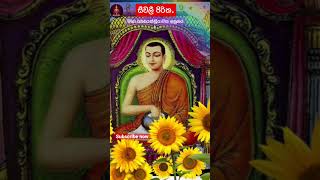 Seewali piritha  සීවලී පිරිත  සෙත් පිරිත්  seth pirith  seth kavi  jathaka katha pirith [upl. by Waring]