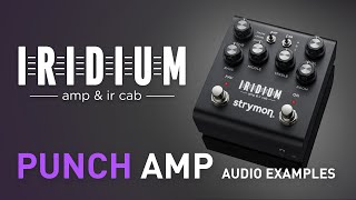 Strymon Iridium – Punch Amplifier Examples – Demo [upl. by Xanthus]