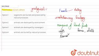 Fossilisation occurs where [upl. by Dumanian]