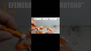 Efémera BUTANO FANTA flytying flyfishing mayfly tutorials hormigas terrestre pechealamouche [upl. by Azile449]