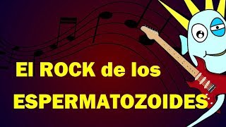 El Rock de los Espermatozoides y el Óvulo  Julinky [upl. by Huntington529]