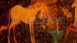 Das Letzte Einhorn  The Last Unicorn by America [upl. by Ecidnak314]