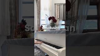 Sudah adakah yg gantikan ku satubulan bernadya pianocover shorts shortvideo [upl. by Nylirahs]