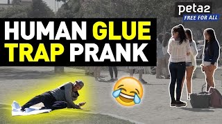 Human Glue Trap Prank [upl. by Airakaz353]