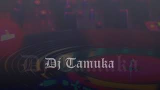 Dj Tamuka Vanolila Mix Aii Ayi [upl. by Audri]