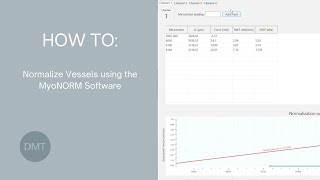 How To  Normalize Vessels  MyoNORM [upl. by Drofdeb740]