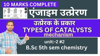 BSc 5th sem chemistry  Types of Catalysts  Enzyme Catalysis  Enzyme Catalysis mechanism [upl. by Lerred640]