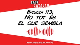 Les maduixes són fruits secs  Easy Catalan Podcast 113 [upl. by Anawait]