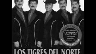 causame la muertelos tigres del norte [upl. by Leahpar631]