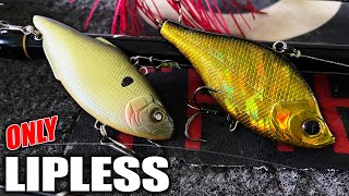 The Most POWERFUL Lure in PRESPAWN Fishing  Lipless CRANKBAITS [upl. by Cyler]