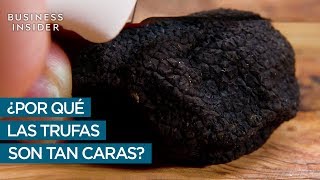 ¿Por qué las trufas son tan caras [upl. by Rosene85]