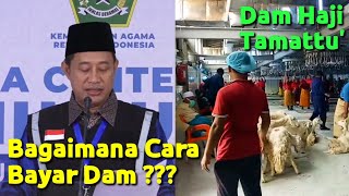 Info Haji 2022 Terbaru  Bagaimana Cara Bayar Dam Haji Tamaatu Berikut Penjelasannya [upl. by Kerwon944]