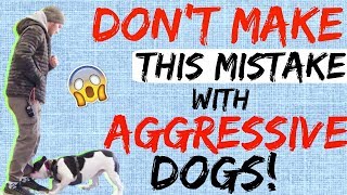 My Dog is Aggressive What do I do  How to Handle Aggressive Dog Behavior [upl. by Aticilef]