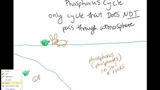 Draw the phosphorus cycle [upl. by Gee]