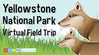 Yellowstone National Park – Virtual Field Trip [upl. by Atiuqiram593]