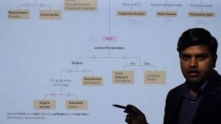 Gram negative Bacteria Classification USMLE Step 1 2021 Microbiology lecture 18 page 141 [upl. by Atsirtal533]