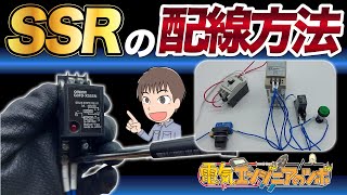 【実演】有接点リレーMY2Nの配線と比較、SSR配線方法について [upl. by Annaihr]