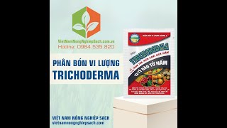 TRICHODERMA – PHÂN BÓN VI LƯỢNGvietnamnongnghiepsachcom0776755793 vànglá [upl. by Kamp]