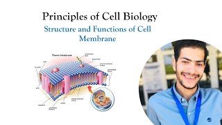 The Plasma Membrane of The Cell  Principles of Cell Biology [upl. by Oiled]