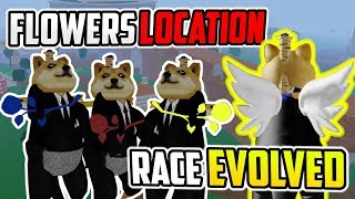 🌸 ALL FLOWERS LOCATION amp V2 RACE EVOLUTION IN BLOX PIECE [upl. by Durwin]