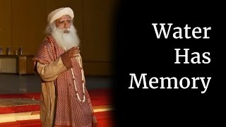 Water Has Memory  Sadhguru at IIT Madras Part V [upl. by Baalbeer]