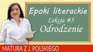 62 Matura z polskiego 2018 powtórzenie o epokach literackich  odrodzenie [upl. by Nhguaved]