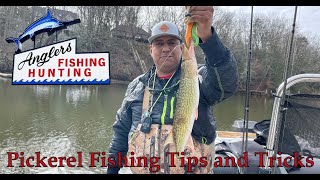 Pickerel Fishing Tips Tricks and How Tos [upl. by Eppillihp]