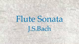 JSBach  Flute Sonata in C major BWV 1033AndanteAllegro [upl. by Elyn]