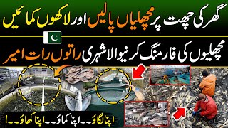 Fish Farming in Home  Profitable Business in Pakistan  Modern Method To Build A Fish Pond [upl. by Yrocaj]