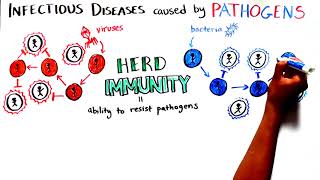 Herd Immunity Understanding COVID19 [upl. by Agustin]