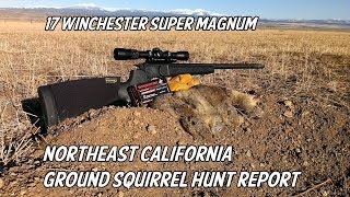 NE California Ground Squirrel Hunt Report  17 Winchester Super Magnum [upl. by Ynnig]