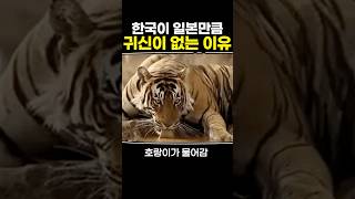 한국이 일본만큼 귀신이 없는 이유 [upl. by Nivrek]