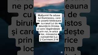 2 Corinteni 214  Versetul tău zilnic reel music fyp viral tiktok Bibleverse love greatful [upl. by Neyud]