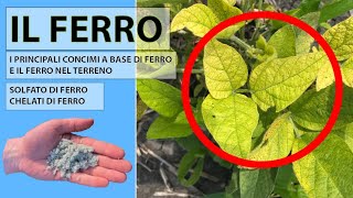 Il ferro in agricoltura concimi principali di ferro solfati e chelati e il ferro nel terreno [upl. by Eeraj]