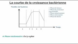 La croissance bactérienne [upl. by Julian]