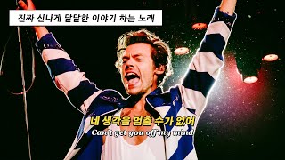 🥰 네가 없는 삶은 상상도 할 수 없어  Harry Styles  Late Night Talking 가사가사해석가사번역lyrics [upl. by Codding]