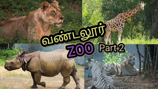 VANDALUR ZOO  Part 2  Arignar anna zoological park vandalur chennai tourism travel [upl. by Anneirb]