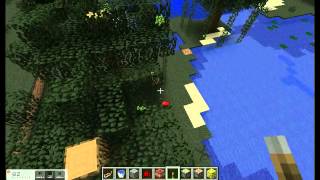 How To Get Saplings Fast Minecraft [upl. by Ahtel]