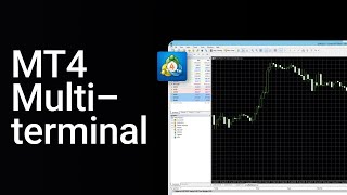 How to use the MT4 MULTITERMINAL  Manage MULTIPLE accounts on MetaTrader 4 [upl. by Baiss]