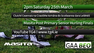 TG4 TO STREAM LIVE GAA MATCHES ONLINE [upl. by Ylas]