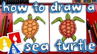 How To Draw A Realistic Sea Turtle [upl. by Nitsej]