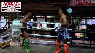 Sangmanee Sor Tienpo vs Saenchai Pk MuayThaiGym  yokkaoboxing [upl. by Aronek]