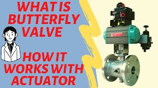 How Butterfly Valve works Types of Valve  Explain with Actuator and Limit Switch Electrical and Au [upl. by Mychal]