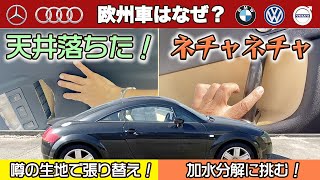 いずれこうなります。欧州車あるある内装3部作！【アウディ天井】【アウディネチャネチャ】 [upl. by Yetah524]