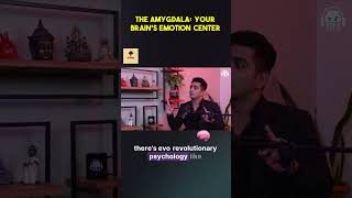 Unlock the Secrets of Your Emotions The Amygdala Explained 🔑🧠 [upl. by Brannon72]