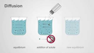 The difference between osmosis and diffusion [upl. by Bertsche935]