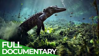 The Wild Soul of the Everglades National Park  Free Documentary Nature [upl. by Htes]