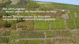 Weinberge an der Ahr  Abfluss unvernünftig beschleunigt [upl. by Hcab]