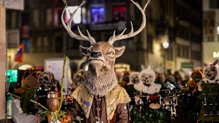 Tagwach SchmuDo Luzerner Fasnacht 2024  Noggeler Näbelhüüler Födlitätscher Nostradamus PGL uvm [upl. by Elleval]